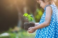 Asian little girl holding young tree for prepare plant on ground Royalty Free Stock Photo