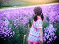 Asian little girl in native dress stands in a field of margarets flowers Royalty Free Stock Photo