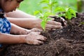 Asian little girl and parent planting young tree on black soil Royalty Free Stock Photo