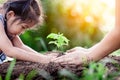 Asian little girl and parent planting young tree on black soil Royalty Free Stock Photo