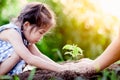 Asian little girl and parent planting young tree on black soil