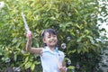 Asian little girl playing soap bubbles in the garden. Royalty Free Stock Photo