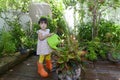 Asian little girl is watering the leaf plant from a watering can Royalty Free Stock Photo