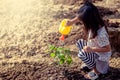 Asian little girl watering young tree with watering pot