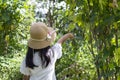 Asian little girl wearing a hat take a walk and point your hand to the trees in the forest.