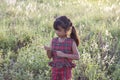 Asian little girl wore a dress made of Thai loincloth or Kamar band or Commer band standing to hold and playing with grass flower