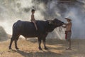 Asian local boy sitting on buffalo with father,countryside Thailand