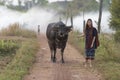 Asian local woman walking with her buffalo