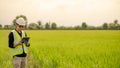 Asian male agronomist observing on rice field