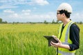 Asian male agronomist observing on rice field