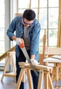 Asian male carpenter woodworker engineer in jeans outfit with safety gloves and glasses goggles using hand saw cutting wood stick Royalty Free Stock Photo