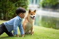 Asian male child in blue shirt sitting playing with brwon Shiba inu dog