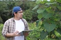 Asian male farmer plantation supervisor checking plant growth, modern natural organic cultivation industry