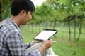 Asian male farmer using digital tablet at Agriculture field. Smart farming argriculture concept Royalty Free Stock Photo