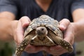 Asian male holding and play with baby giant turtle.Lovely pet. Relationship between human and animal. turtle.Lovely pet Royalty Free Stock Photo