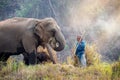 Asian male Mahout holding spear weapon for controlling elephants. Elephant trainer or Mahout for control order wild elephant in