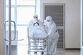 Asian male nurse and doctor wearing ppe suit and face mask pushing stretcher gurney bed with seriously infected coronavirus or Royalty Free Stock Photo