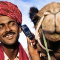 Asian Man and Camel in the Desert with Communications Concept Royalty Free Stock Photo