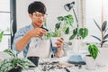 Asian man is cleaning and care plants at home.Housework and botany concept