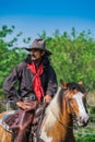 Asian Man Cowboy is catching calf To be branded in a ranch