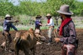 Asian Man Cowboy is catching calf To be branded in a ranch