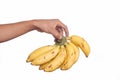 Asian man holding yellow ripe banana fruit speckled on white background with cutting path. negative space white background