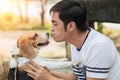 Asian man lovely cute playing kiss with his puppy animal pet , Beagle are friendly dog with human