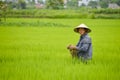Asian man in rice field.