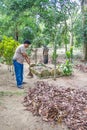 Asian man sweeping leaves