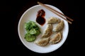 Asian Meal of Pot Stickers and Seaweed Royalty Free Stock Photo