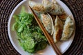 Asian Meal of Pot Stickers and Seaweed Royalty Free Stock Photo