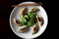 Asian Meal of Pot Stickers and Seaweed Royalty Free Stock Photo