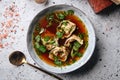 Asian meat stuffed dumplings with bouillon in bowl Royalty Free Stock Photo