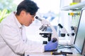 Asian medical doctor working in research lab. Science assistant making pharmaceutical experiments. Chemistry, medicine Royalty Free Stock Photo