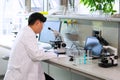 Asian medical doctor working in research lab. Science assistant making pharmaceutical experiments. Chemistry, medicine Royalty Free Stock Photo