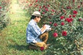 Asian men are recording data of roses plants in farm