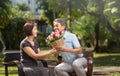 Asian middle-aged man gives a rose to his wife in valentine day Royalty Free Stock Photo