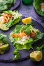 Asian minced meat lettuce wraps with rice, bean sprouts and cabbage Royalty Free Stock Photo