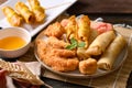 Asian mixed deep fried food chicken, spring roll, wonton and crab stick