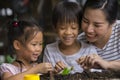 Asian mother and her kids gardening together. Spring and hobbies, family grows flowers together. Hobby home for whole family, Royalty Free Stock Photo