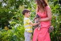 Asian mother and her son playing with cat in the park Royalty Free Stock Photo