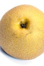 Asian nashi pear Royalty Free Stock Photo