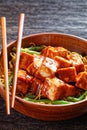 Asian noodle bowl with hoisin baked tofu cubes Royalty Free Stock Photo