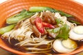 Asian noodle soup