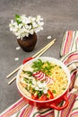 Asian noodles with chicken, vegetables, and herbs in a red bowl. Traditional Japanese soup Royalty Free Stock Photo