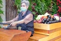 Asian old elderly elder woman with fruit vegetables in wooden cart wagon from farm Royalty Free Stock Photo