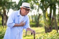 Asian old man walking in park and having a with pain on heart, heart attack. Senior healthcare concept Royalty Free Stock Photo