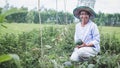Asian old woman in hat working in the garden with smile and happy Royalty Free Stock Photo