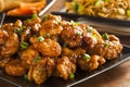 Asian Oranage Chicken with Green Onions