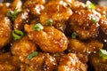 Asian Oranage Chicken with Green Onions